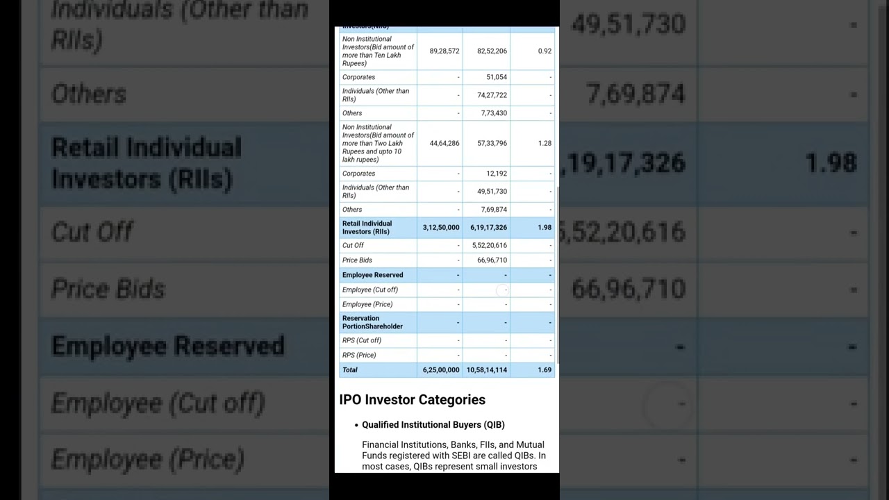 Electronics Mart India Ltd IPO Details