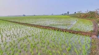 Behind the Scenes: Meet the Unsung Heroes Who Plow the Fields and Feed the World!"