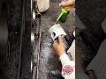 Correct Way to Install Engine Piston | Workshop Technique #engine #machine #piston #repiar #shorts