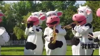 Sambasiesta Sütaş Bandosu