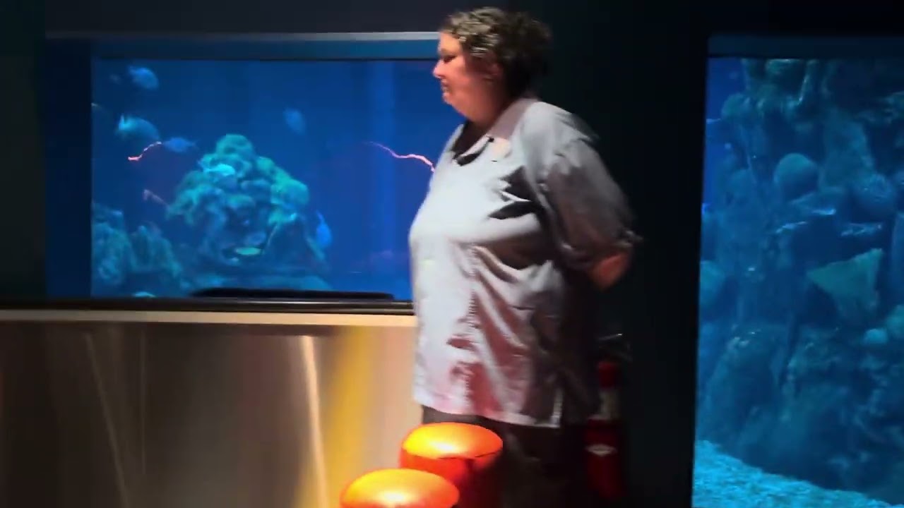 Epcot Getting Off Of The Seas With Nemo and Friends 2025 3 