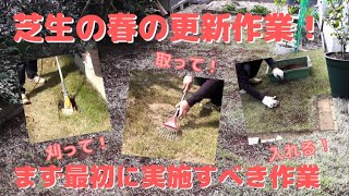 【芝生】冬越しした芝生に対する春の更新作業放置していた芝生にまず最初に実施すべき作業【初心者向け】