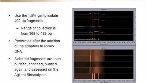 Webinar: Pippin Prep at the Edgewood Chemical Biological Center (Excerpts)