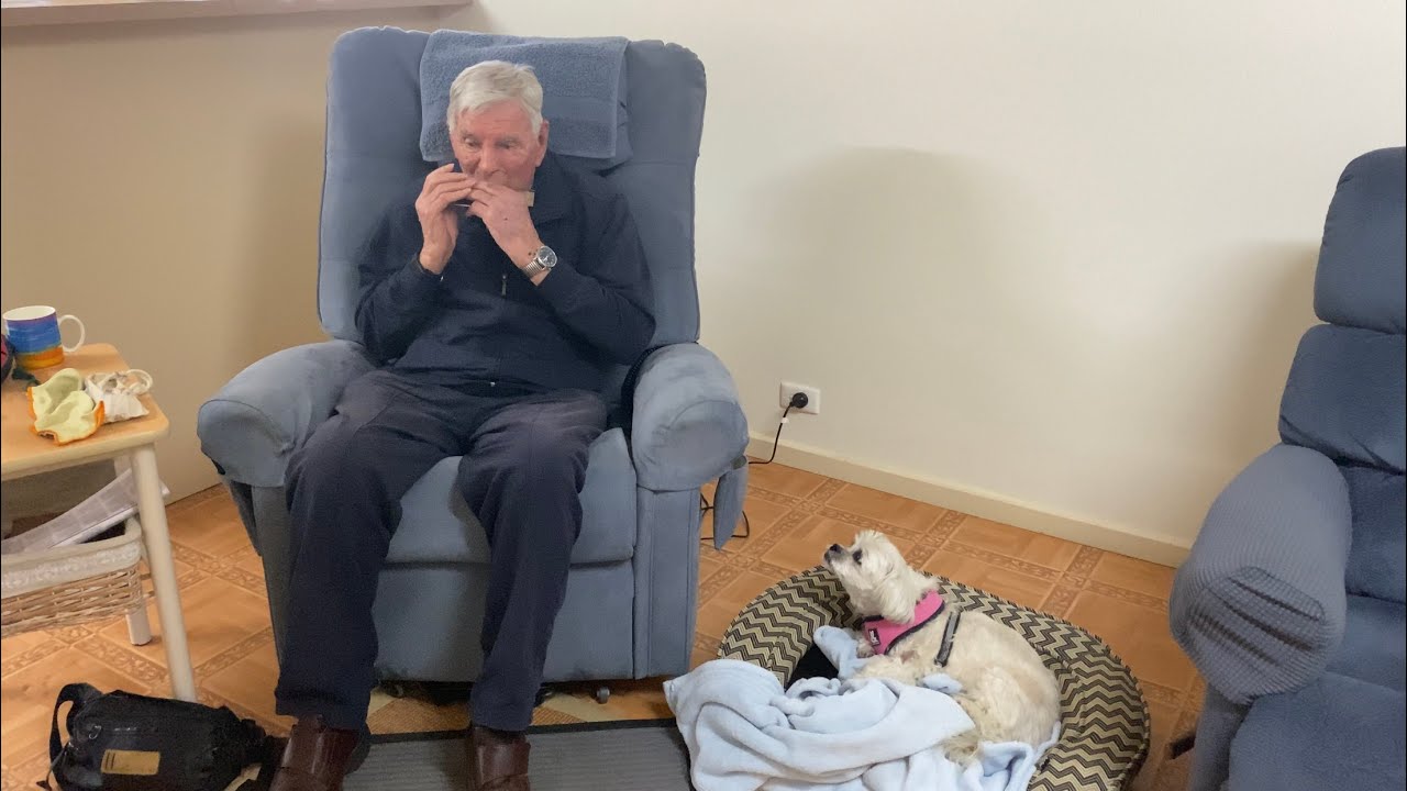 Can Can On My Hohner Chromatic Harmonica YouTube