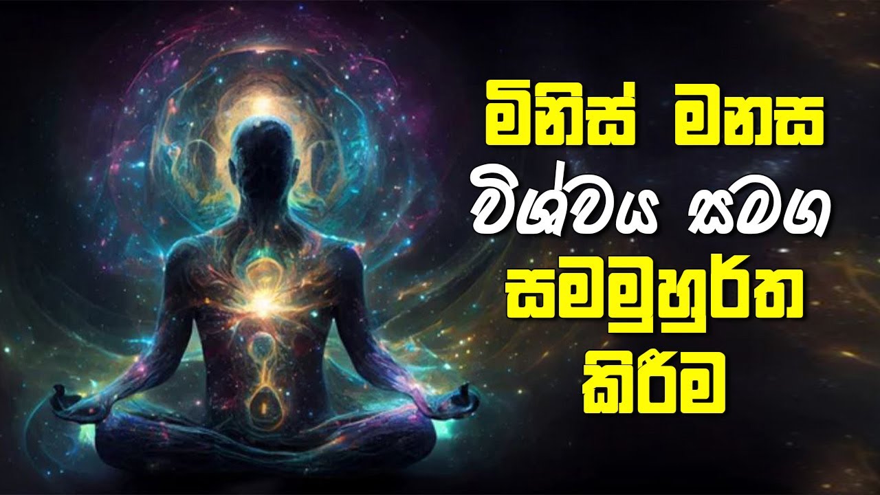 මිනිස් මනස විශ්වය සමග සමමුහුර්ත කිරීම | Mind and Universe Synchronization
