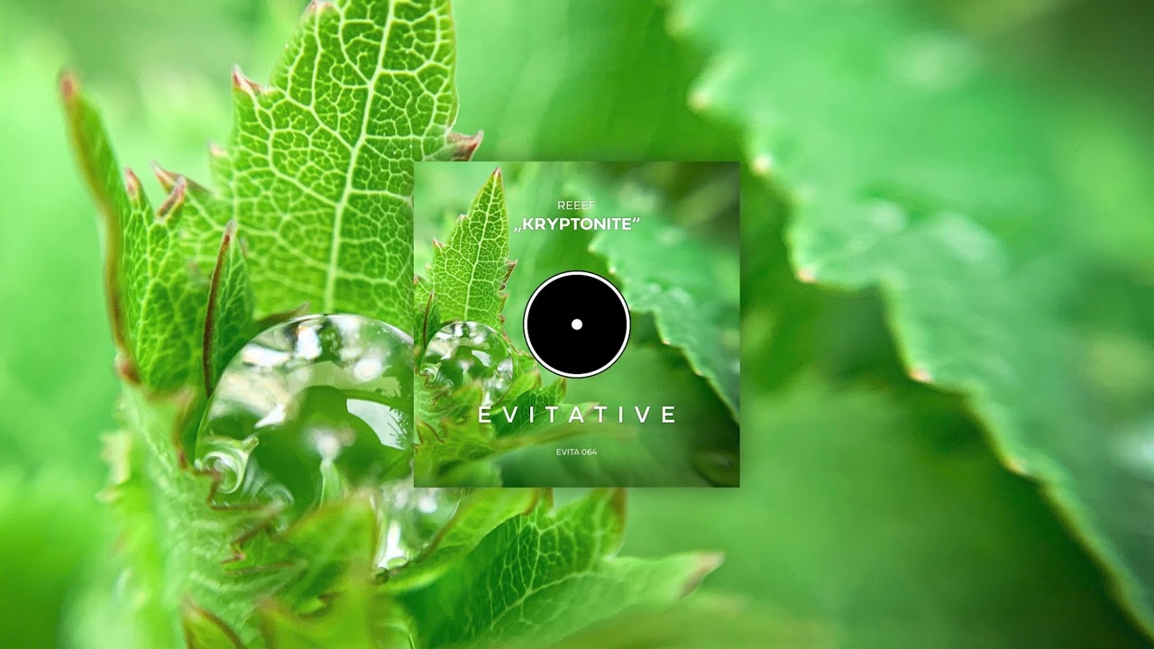 Watch REEEF - Kryptonite on YouTube