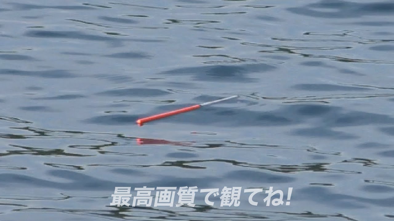 「ウキあたりシーン多め」最後は寝ウキにたどり着く!!　#紀州釣り #ウキダンゴ釣り