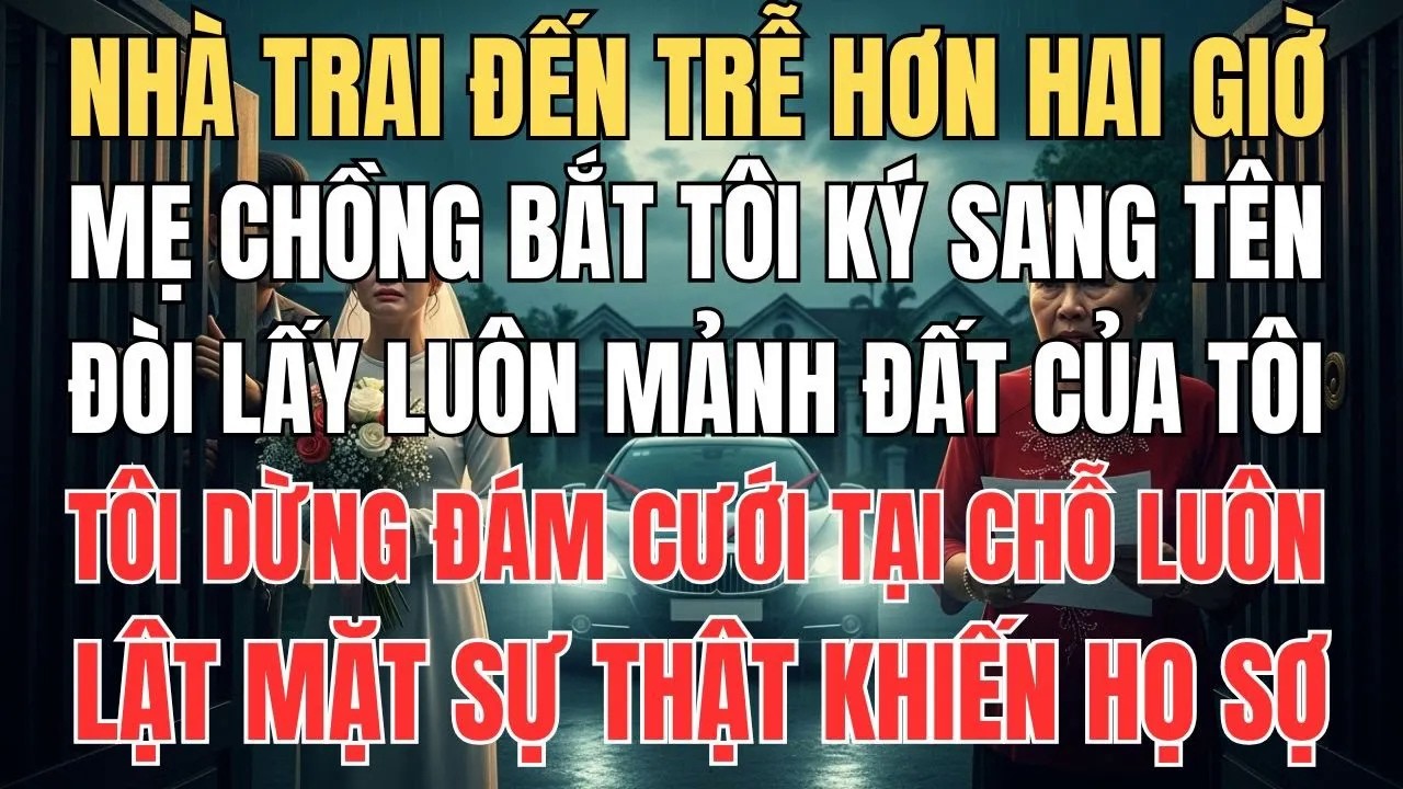Nhà Chồng Đến Đón Dâu Muộn Hơn 2 Tiếng Mẹ Chồng Ép Tôi Phải Sang Tên Hết Tài Sản Riêng Thì Mới Cưới