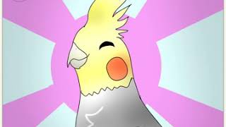 Cockatiel drawing! 😊