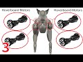 Hoverboard Motors for Robot Dog | RoboDog Electrical 1