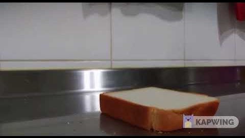 Piece of Bread standing up