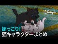 新生活は緊張の連続 ディズニーのかわいい猫たちに癒されよう おしゃれキャット 不思議の国のアリス 他 Disney ディズニープラス 新生活は緊張の連続 ディズニーのかわいい猫たちに癒されよう おしゃれキャット 不思議の国のアリス 他 Disney ディズニープラス