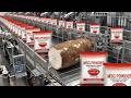 Inside the Giant Ajinomoto Factory | How MSG Is Made from Cassava (Full Process)