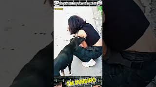 sema fun dubbing 🤣🐒 #animaldubbingvideos #monkey #dog #funny #comedy #shortsfeed