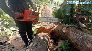 Chainsaw Husqvarna 272 XP The Cuts Teak Wood