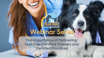 The Importance of Partnering:  Fear Free Certified Trainers and Certified Practices