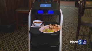 Robot servers working at Hawaii restaurant