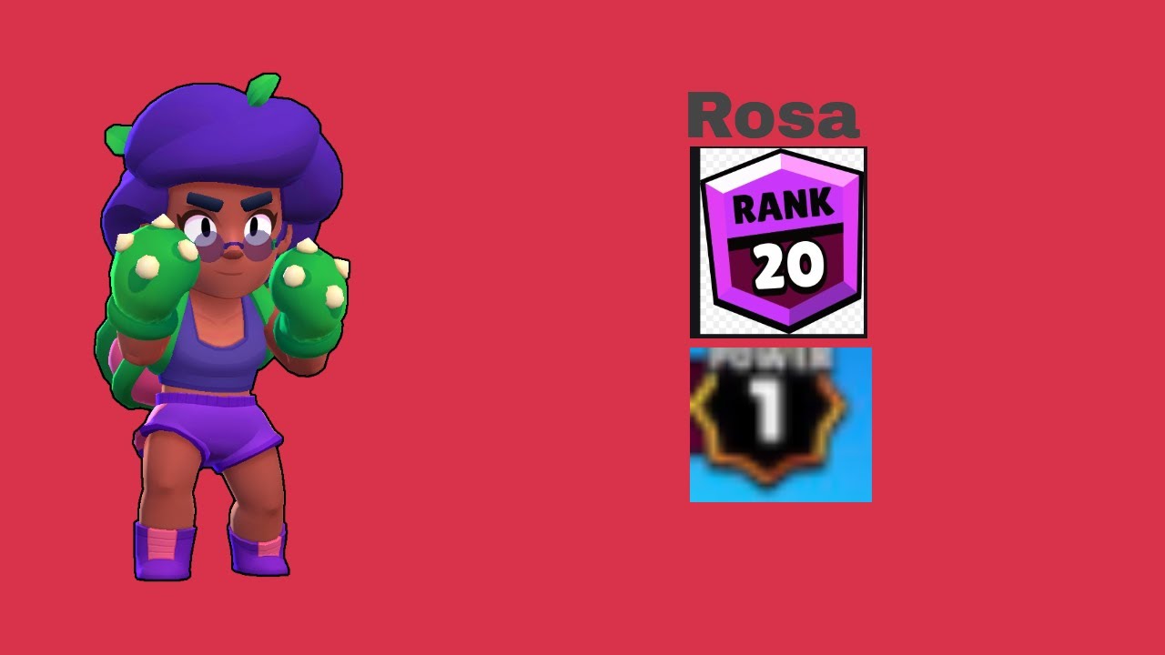 RTPIM: Rosa to 500!