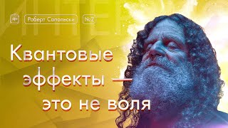 Роберт Сапольски. Квантовые эффекты - это не воля. [Vert Dider] 2/6