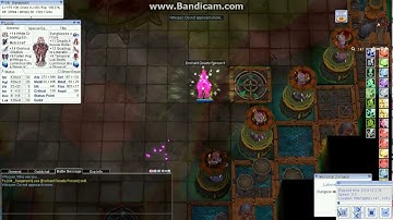 iRO Chaos DD Crit GX vs Paladin Randel #2 1m+ Crit dmg (Biolab Instance)