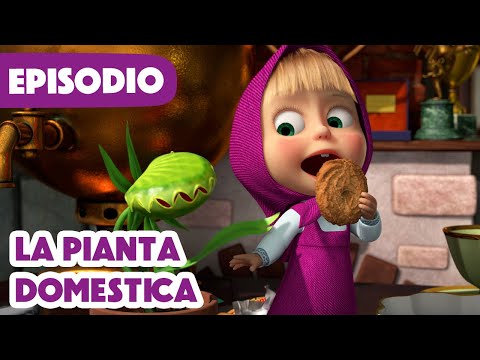 💥Nuovo episodio 2025💥