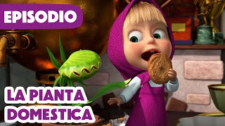 Nuovo Episodio 2025 Masha E Orso La Pianta Domesticaepisodio 99How To Train Your Plant