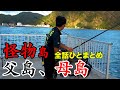 【全章一気見】超秘境！父島、母島は釣りの楽園だった！！！！