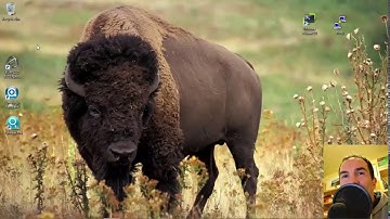 How to connect an APC Back-UPS unit to a Buffalo TeraStation device