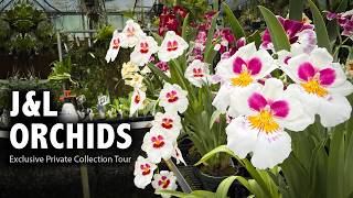 J&L Orchids Nursery Tour | Exclusive Look at Private Collection - Rare Miniature Orchid Flowers!