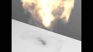 PBRT-Rendered Fire Test