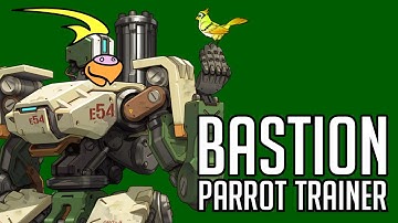 30 Minutes of Bastion Parrot Training