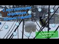 С наступающим морозным Новым годом❄️🥳 Не забывайте про пернатых!🦃