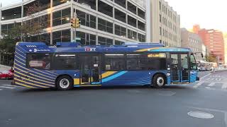MTA NYCT #8809 on the Q83 Limited to Cambria Heights 227th St with P/R Code "FARE REQUIRED"