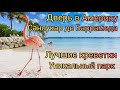 Испания Дверь в Америку Лучшие пляжи Наилучшие креветки Уникальный парк Санлукар де Баррамеда