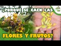 Ten Muchas FLORES y FRUTOS con esta información.