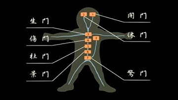 Kakashi explains The Eight Inner Gates   #naruto #anime