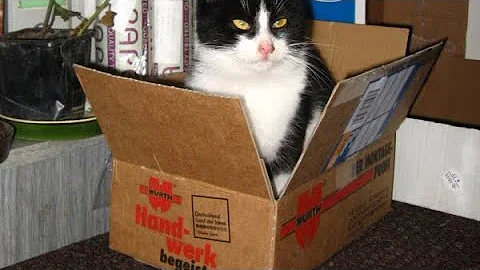 BURNER Intro but its the Chikn Nuggit Cast (V3)