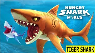 Hungry Shark World Hack I Tiger Shark Gameplay I Kalpit Borkar Gaming screenshot 5