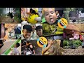 Kumpulan Video Lucu Bikin Ngakak | Cobalah untuk Tidak Tertawa #27