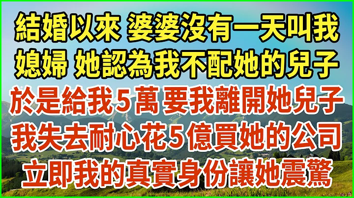 结婚以来 婆婆没有一天叫我媳妇，她认为我不配她的儿子，于是给我5万 要我离开她儿子，我失去耐心花5亿买她的公司，立即我的真实身份让她震惊 #生活经验 #情感故事 #深夜浅读 #幸福人生 #深夜浅谈 - 天天要闻