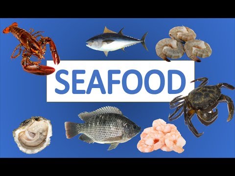 Video: Califique Mariscos Sostenibles Con Cape Seafood Y Provisiones