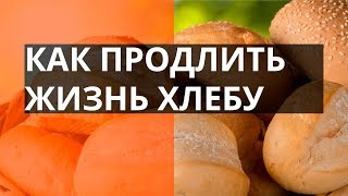 Лайфхак: как продлить жизнь хлеба? – Утро в Большом Городе