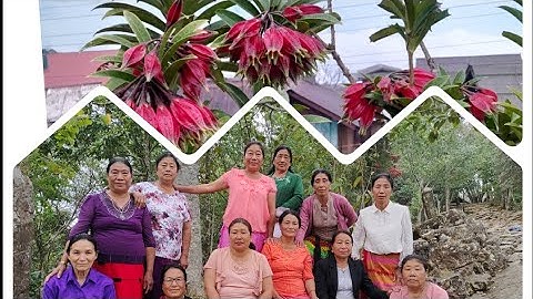 PAI TESUNEP O JEMPIR.( Englightenig serenity)//MEDEMTSUR TELOK.