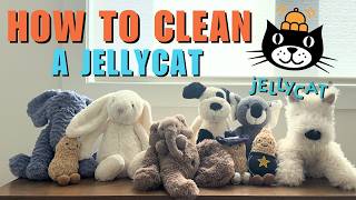 How to Clean Jelly Cats