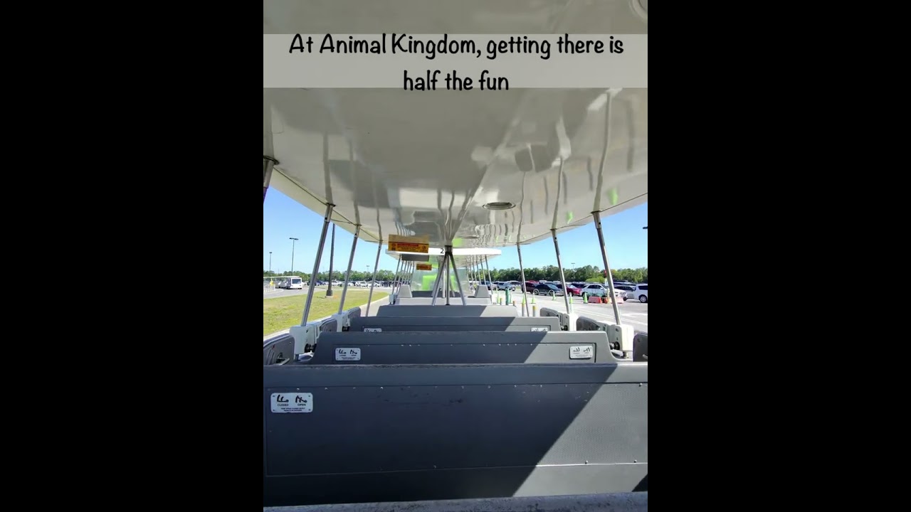 At Animal Kingdom, Even the Parking Tram is Entertainment