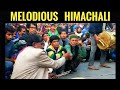 Instrumental himachal music sirmour