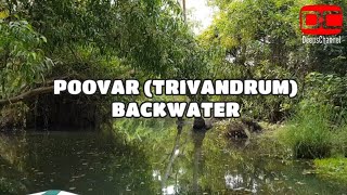 POOVAR BACKWATER