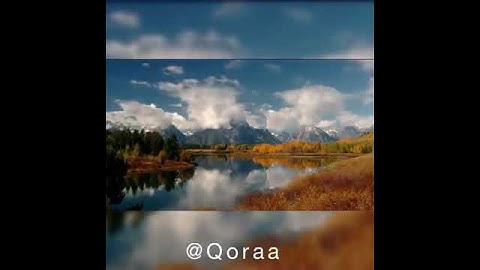 تلاوة خاشعة.. بصوت الشيخ أبو بكر الشاطري.