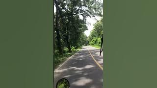 Mentahan video healing naik motor | story wa