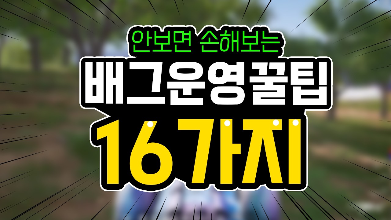 보고도 안 믿기는 운영꿀팁 16가지 최신(안보면 손해)🔥